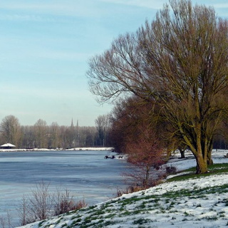 14/01 - Environs de Chartres (28)