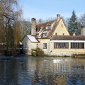 20100114-010-VerLesChartres-FR28-MoulinDeTachainville