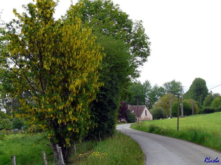 20090509 019 LaPerriere FR61