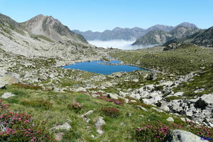 20110630-015-Neouvielle-LacEstagnol-2235m