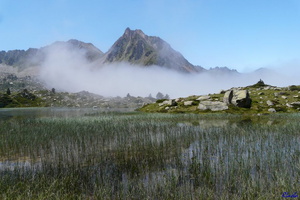 20110630-018-Neouvielle-LacDeLaJonquere