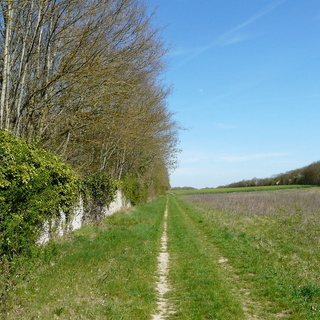 1/04 - St Symphorien le Château (28)