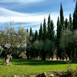 Octobre - Var - Divers