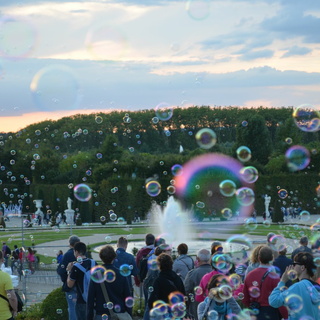 16/08 - Versailles (78)