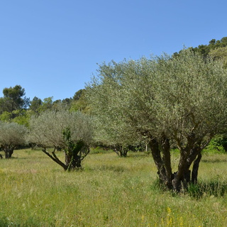 18/05 - Sillans le Cascade (83)