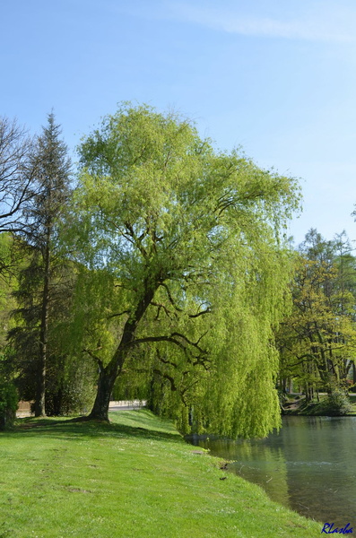 2014-04-09 Parc de Vizille 05.JPG
