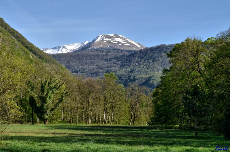 2014-04-09 Parc de Vizille 14.jpg