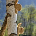 2014-04-12 Bourg d-Oisans - Vallee Romanche 04
