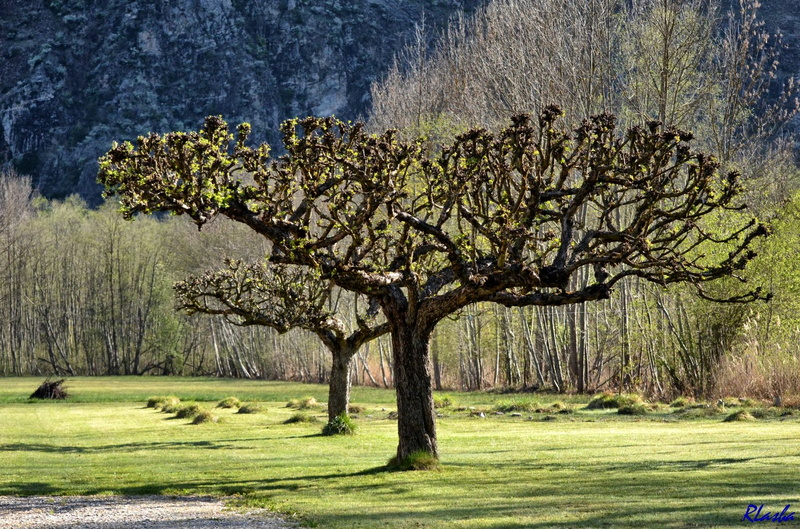 2014-04-12 Bourg d-Oisans - Vallee Romanche 05.jpg