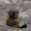 2014-04-20 Lauvitel 07
