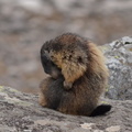 2014-04-20 Lauvitel 10