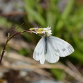 2014-04-23 Bourg d-Oisans 02