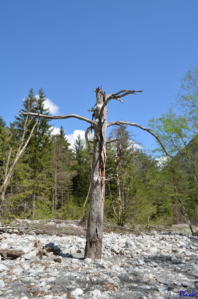 2014-04-23 Bourg d-Oisans 10.jpg