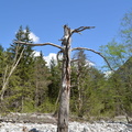 2014-04-23 Bourg d-Oisans 10