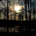2013-03-25 Foret Dourdan 02