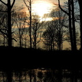 2013-03-25 Foret Dourdan 03