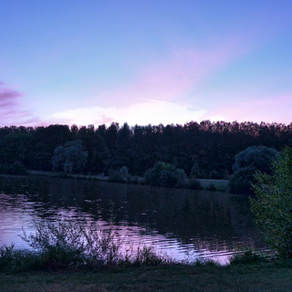 1/09 - Luisant - Etang du Carillon - Lever du jour (28)