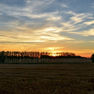 2/09 - Chandres - Coucher de soleil (28)