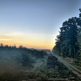 24/09 - Senonches (28) - Forêt