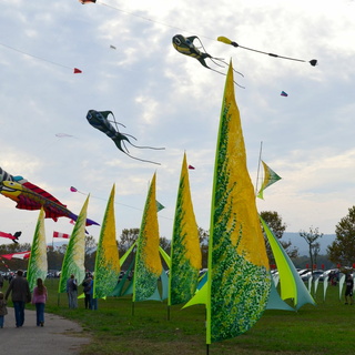 26/10 - Fréjus - Festival de l'air (83)