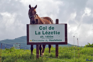 2016-06-27 02 Col Lezette