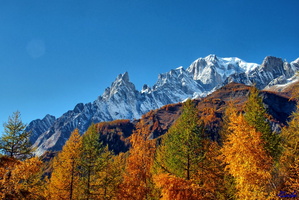 2016-10-29 10 Vers Planpincieux Italie - Vue sur Mont-Blanc Aiguilles de Pauterey