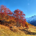 2016-11-01 Vallandry (2)