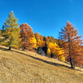 2016-11-01 Vallandry (3)