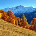 2016-11-01 Vallandry (5) vue sur Bellecote