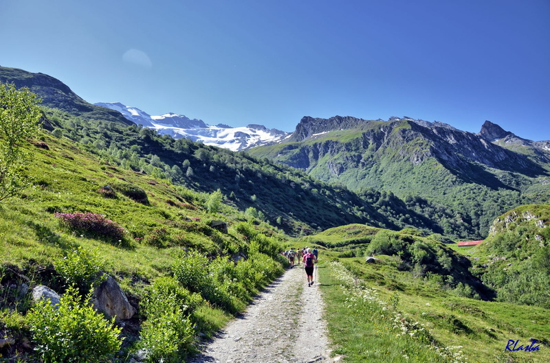 2017-06-18 Pralognan - Cirque du Génépi (04).jpg
