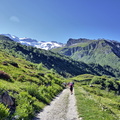 2017-06-18 Pralognan - Cirque du Génépi (04)