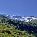 2017-06-18 Pralognan - Cirque du Génépi (05)