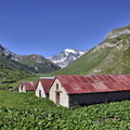 2017-06-18 Pralognan - Cirque du Génépi (06)
