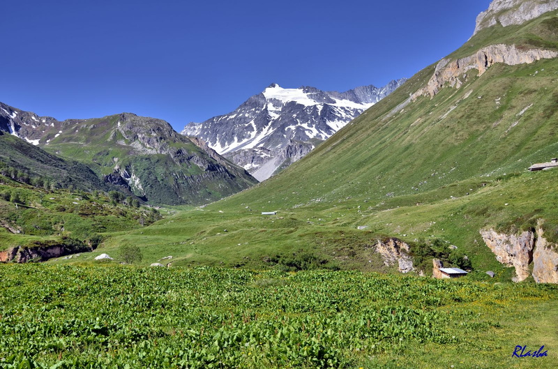 2017-06-18 Pralognan - Cirque du Génépi (07).jpg