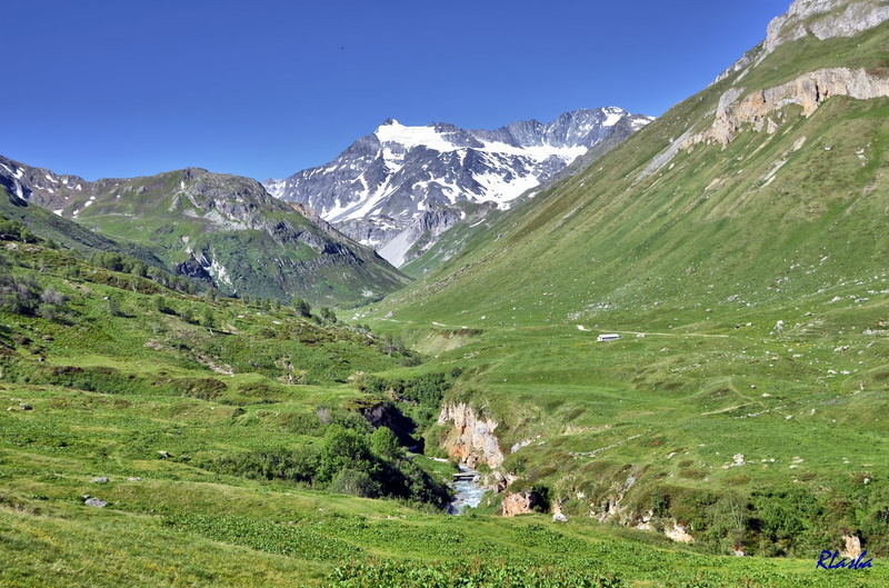 2017-06-18 Pralognan - Cirque du Génépi (09).jpg