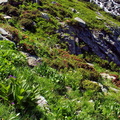 2017-06-18 Pralognan - Cirque du Génépi (14)