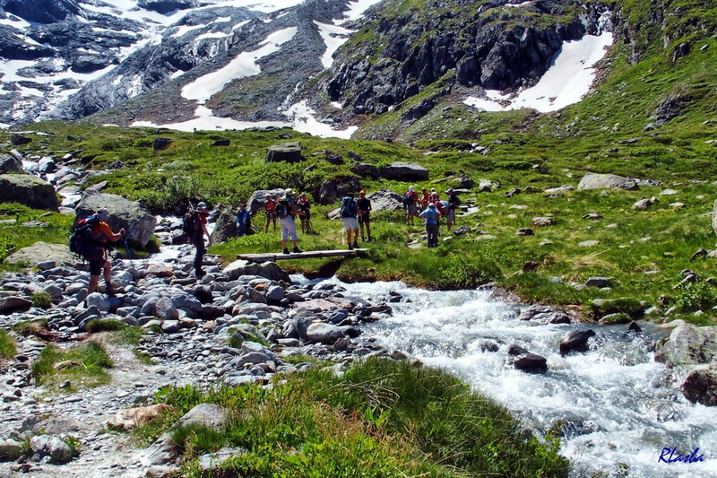 2017-06-18 Pralognan - Cirque du Génépi (16).jpg