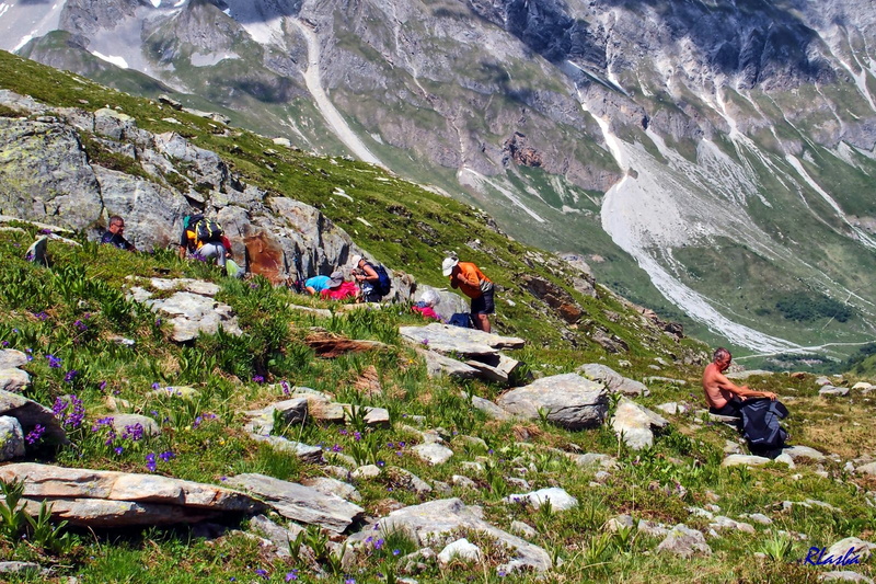 2017-06-18 Pralognan - Cirque du Génépi (31).jpg