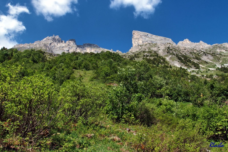 2017-06-19 Pralognan - Rocher de Villeneuve (09).jpg