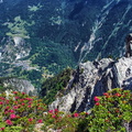 2017-06-19 Pralognan - Rocher de Villeneuve (20)