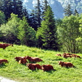 2017-06-20 Pralognan - Col de la Vanoise (04)