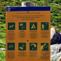 2017-06-20 Pralognan - Col de la Vanoise (20)