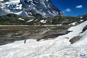 2017-06-20 Pralognan - Col de la Vanoise (52)