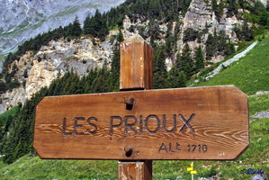 2017-06-22 Pralognan - Petit Mt Blanc (04)