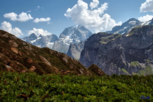 2017-06-22 Pralognan - Petit Mt Blanc (17)