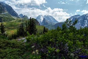 2017-06-23 Pralognan - Mt Bochor (09)