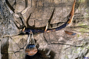 2019-05-28 Herault2 - grotte Abeil (05)