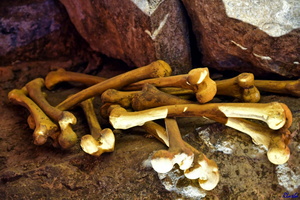 2019-05-28 Herault2 - grotte Abeil (06)