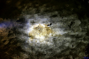 2019-05-28 Herault2 - grotte Abeil (15)