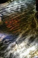 2019-05-28 Herault2 - grotte Abeil (20)